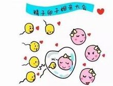 试管婴儿要冷冻胚胎吗